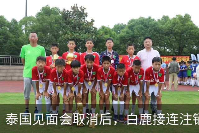 泰国见面会取消后，白鹿接连注销名下三家公司，网友：果然有猫腻